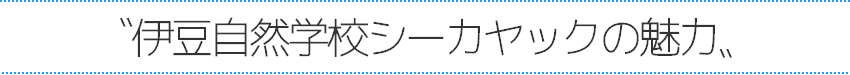 伊豆自然学校シーカヤックの魅力